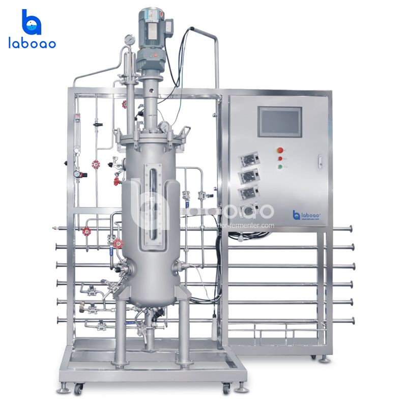 50L Top Mechanical Mixing Stainless Steel Automatic Bioreactor