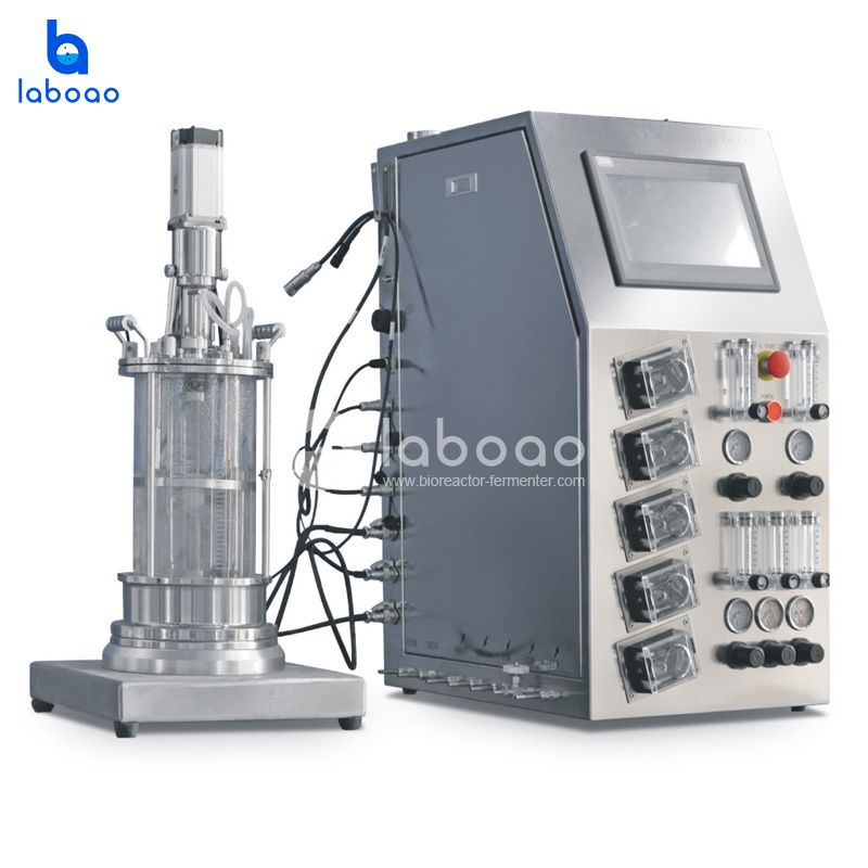 5L Mechanical Mixing Animal Cell Bioreactor