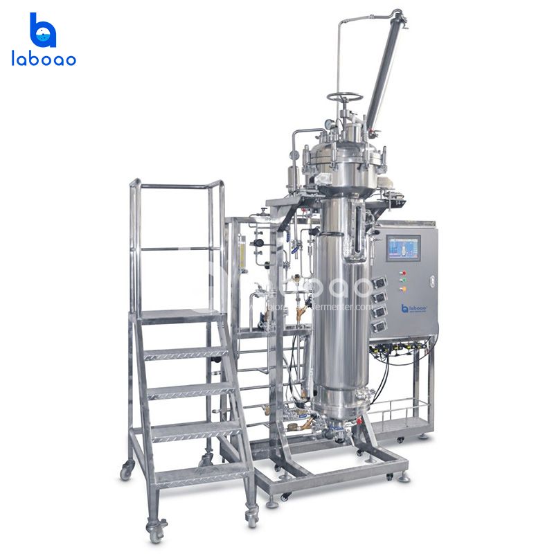 Airlift Stainless Steel Bioreactor