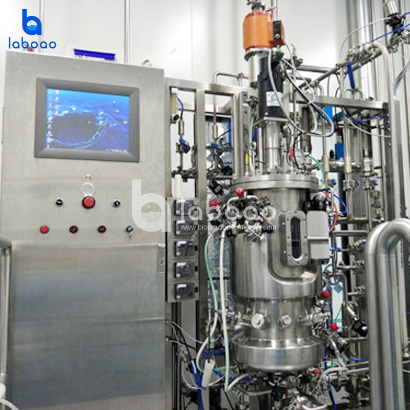 Bacterial Vaccine Automatic Fermenter CGMP Compliant