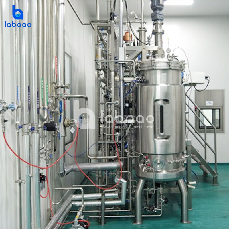 Bacterial Vaccine Automatic Fermenter CGMP Compliant