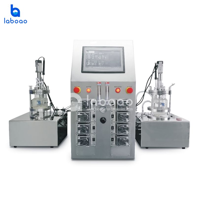 Benchtop In Situ Sterilizable Magnetic Mixing Parallel Double Glass Bioreactor