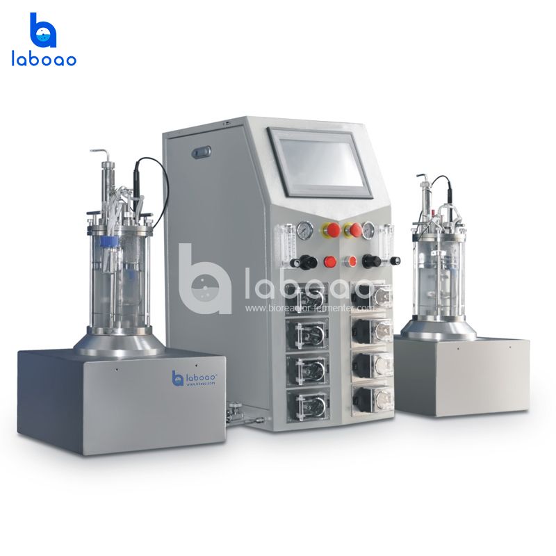 Benchtop In Situ Sterilizable Magnetic Mixing Parallel Double Glass Bioreactor