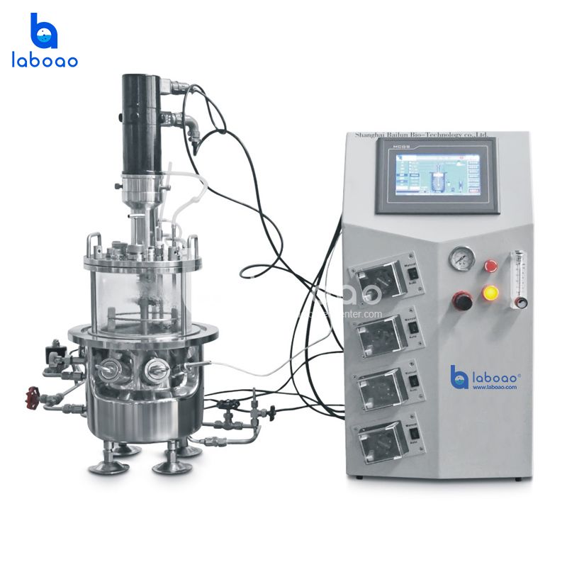 Benchtop In Situ Sterilizable Mechanical Mixing Glass Fermenter