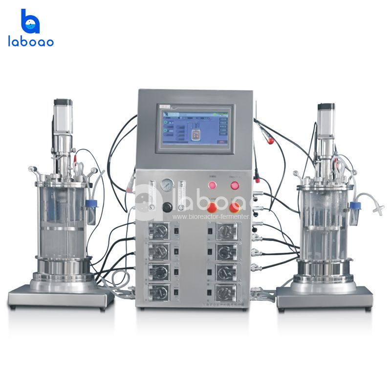 Benchtop Mechanical Mixing Parallel Double Glass Bioreactor