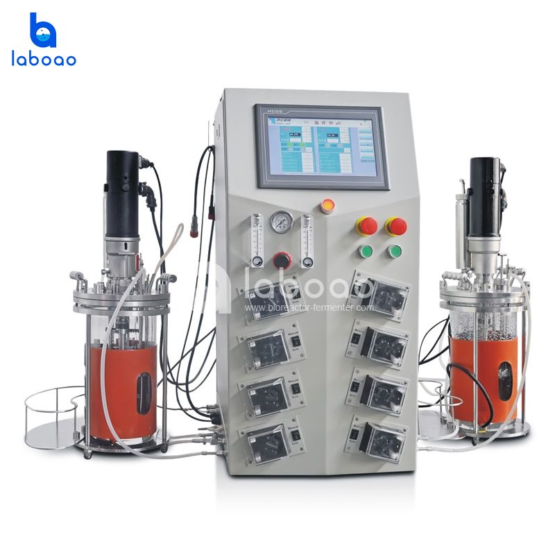 Benchtop Mechanical Mixing Parallel Double Glass Bioreactor