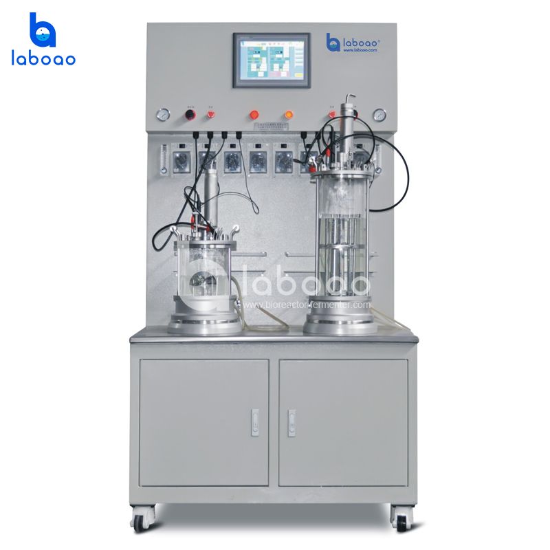 Cabinet Type Magnetic Mixing Parallel Glass Bioreactor