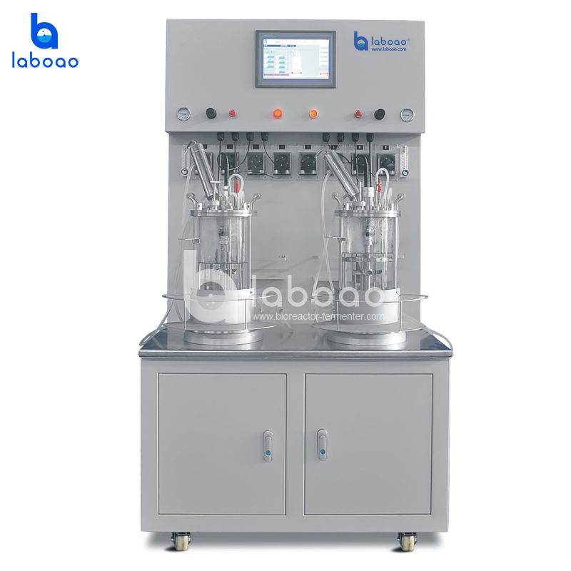 Cabinet Type Magnetic Mixing Parallel Glass Bioreactor