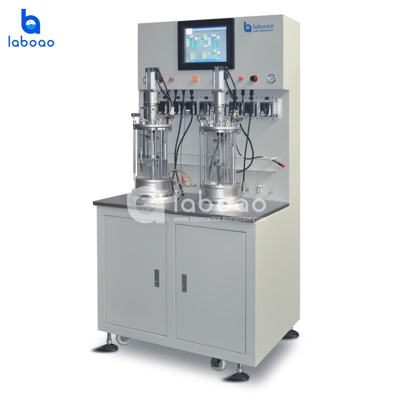 Cabinet Type Mechanical Mixing Parallel Double Glass Bioreactor