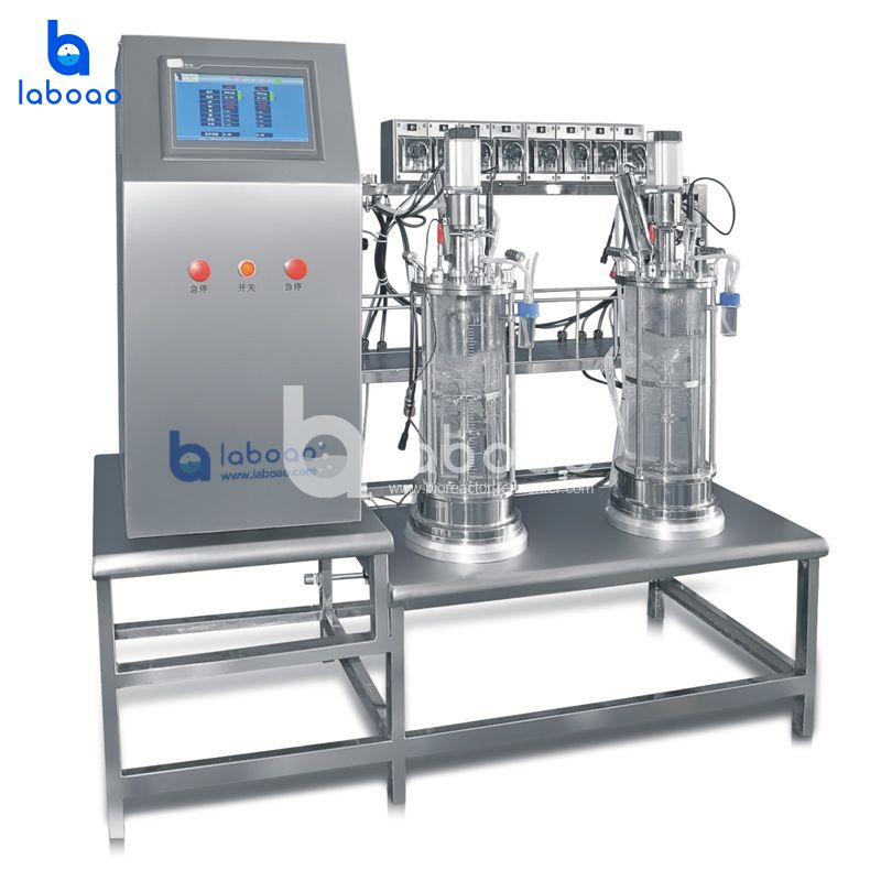 Cabinet Type Mechanical Mixing Parallel Double Glass Bioreactor