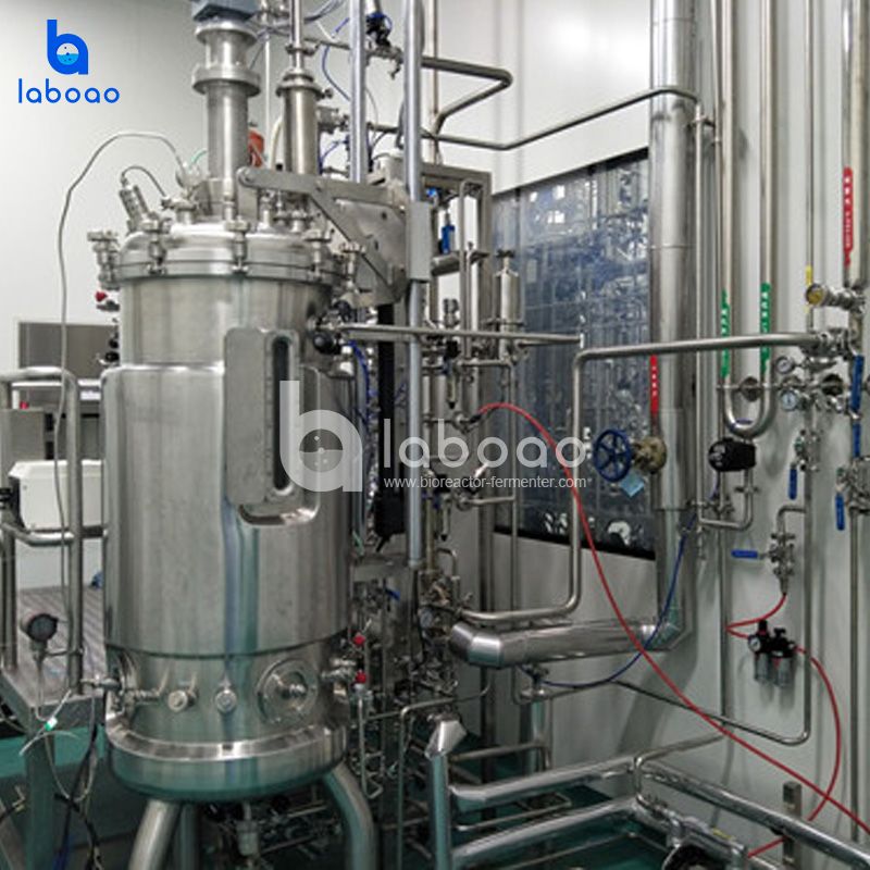 GMP Compliant Automatic Bioreactor System