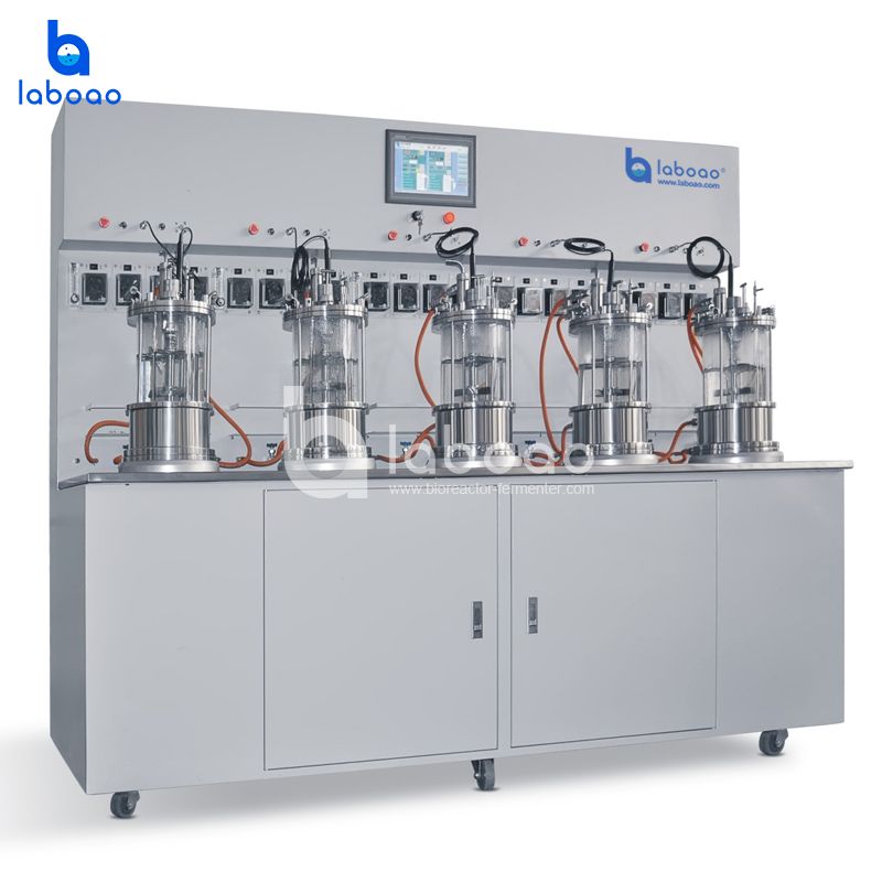 Off-site Sterilization Magnetic Mixing Quintuple Glass Bioreactor