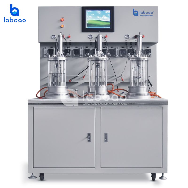 Off-site Sterilization Magnetic Mixing Triple Glass Fermenter