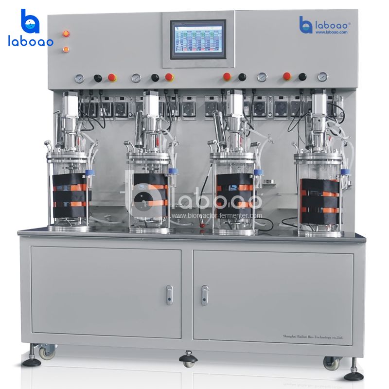 Off-site Sterilization Mechanical Mixing Quadruple Single-wall Glass Fermenter