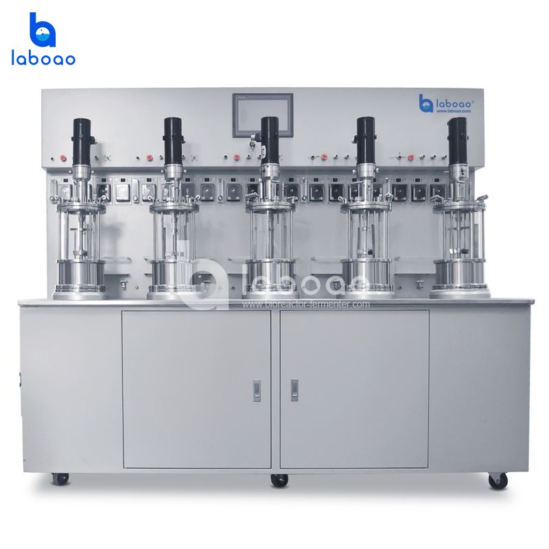 Off-site Sterilization Mechanical Mixing Quintuple Glass Bioreactor