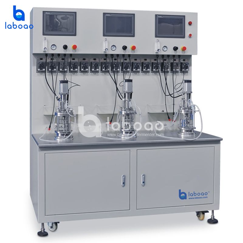Off-site Sterilization Mechanical Mixing Triple Glass Bioreactor