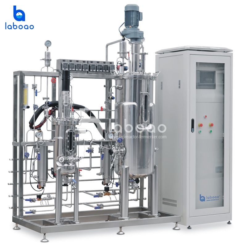 China 10L-50L-100L Tertiary Stainless Steel Bioreactor System