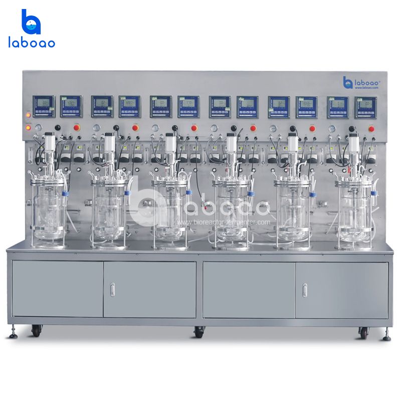 Sextuple Off-site Sterilization Double-wall Glass Fermenter