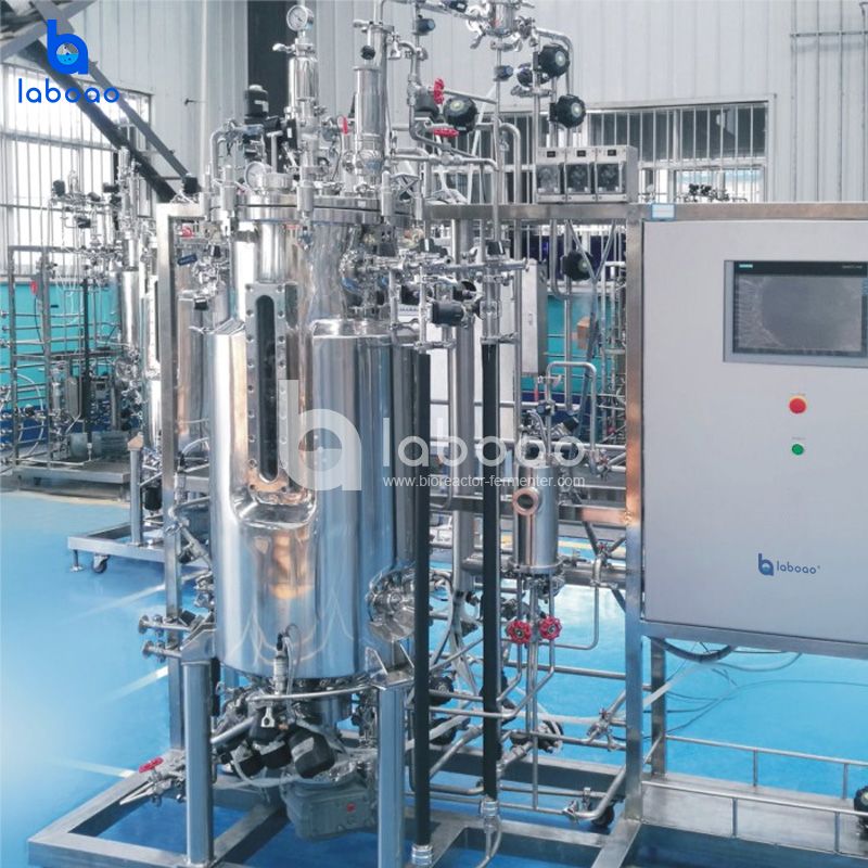 Vaccine Bioreactor System