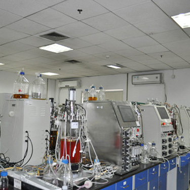 Cell Bioreactor Case of Bioreactor Fermenter System - LABOAO