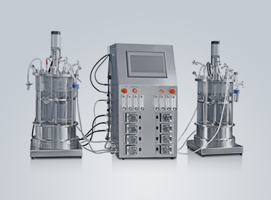china bioreactor & fermenter project in cell-bioreactor-case