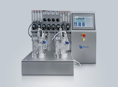 china bioreactor & fermenter project in micro-bioreactor-case