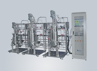 china bioreactor & fermenter project in multiple-multistage-stainless-steel-bioreactor-case
