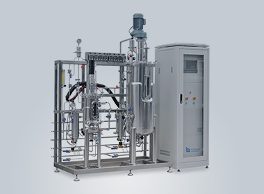 china bioreactor & fermenter project in stainless-steel-bioreactor-case